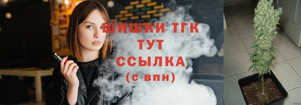 гидропоника Абаза