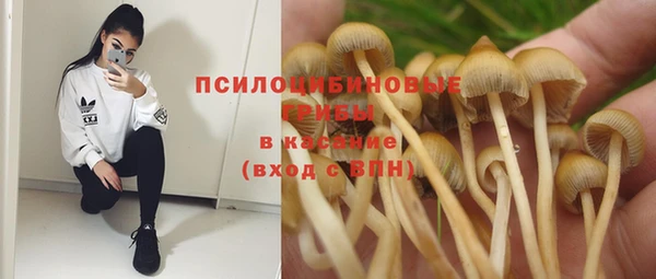 гидропоника Абаза