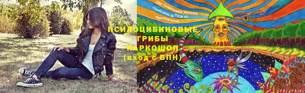 стафф Абинск