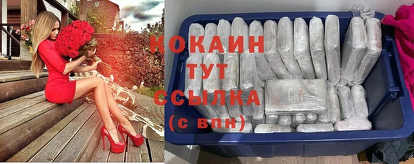 крисы Абдулино