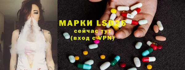 стафф Абинск
