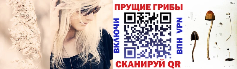 Галлюциногенные грибы Magic Shrooms  Кинешма 
